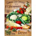 affiche legumes vintage