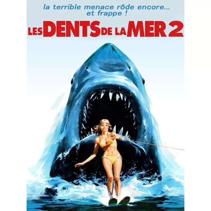 affiche-les-dents-de-la-mer-2_1 affiche les dents de la mer 2