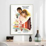affiche l'homme de rio