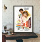affiche l'homme de rio