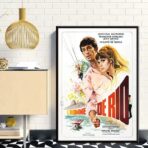 affiche l'homme de rio