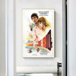 affiche l'homme de rio