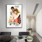 affiche l'homme de rio