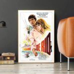 affiche l'homme de rio