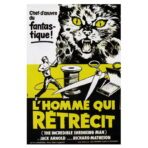 affiche l'homme qui rétrécit