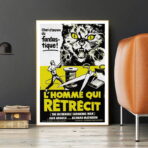 affiche l'homme qui rétrécit