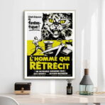 affiche l'homme qui rétrécit