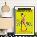 affiche mash