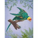Affiche Vintage <br> Oiseau