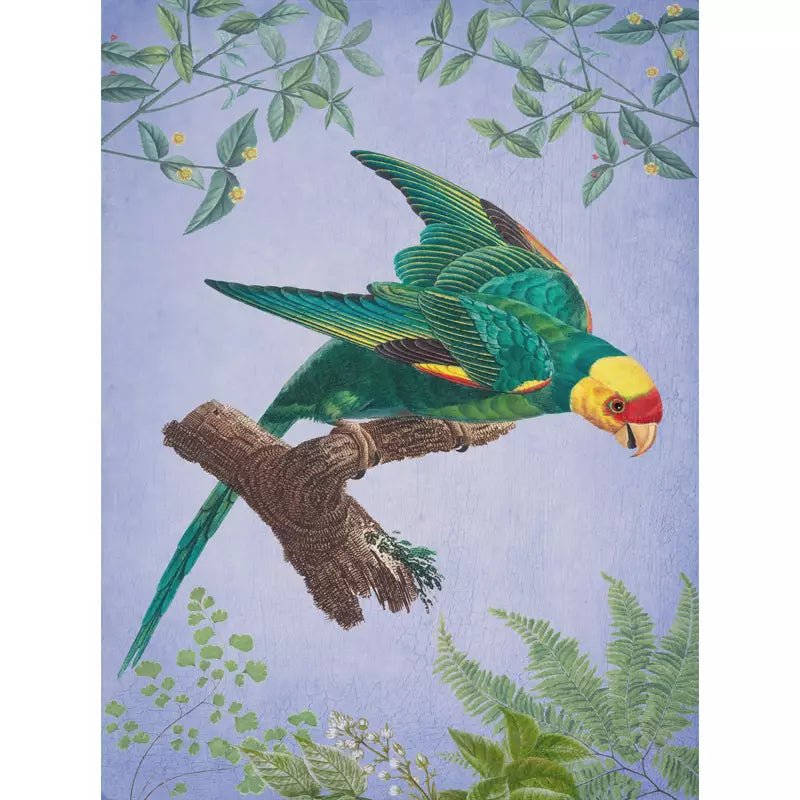 affiche-oiseau-vintage_12 Affiche Vintage <br> Oiseau – Image 1