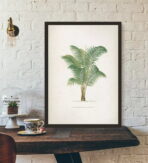 affiche palmier vintage