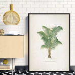 affiche palmier vintage