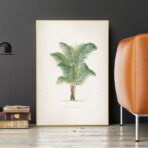 affiche palmier vintage