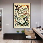 affiche papillon vintage