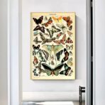affiche papillon vintage