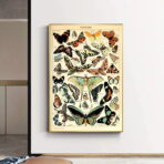 affiche papillon vintage