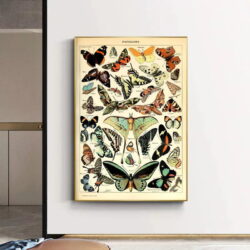 affiche papillon vintage