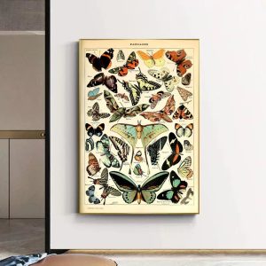 affiche papillon vintage