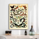 affiche papillon vintage