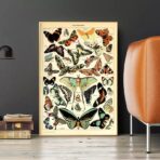 affiche papillon vintage