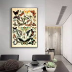affiche papillon vintage