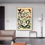 affiche papillon vintage