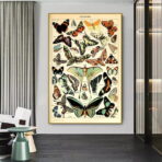 affiche papillon vintage