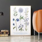 affiche plante vintage