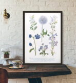 affiche plante vintage