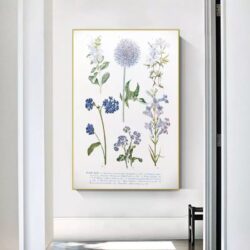 affiche plante vintage