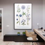 affiche plante vintage