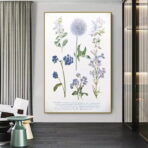 affiche plante vintage