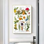 affiche plantes vintage