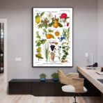 affiche plantes vintage