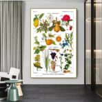 affiche plantes vintage