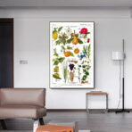 affiche plantes vintage
