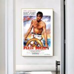 affiche plein soleil