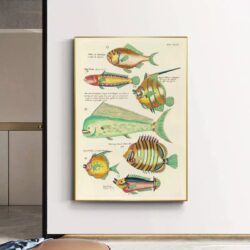 affiche poisson vintage