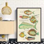 affiche poisson vintage