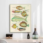 affiche poisson vintage
