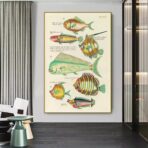 affiche poisson vintage