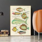 affiche poisson vintage