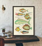 affiche poisson vintage