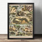 affiche reptile