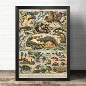 affiche reptile