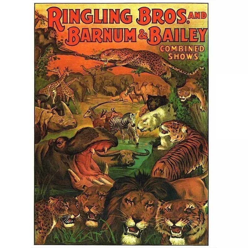 affiche-vintage-animaux_2 affiche vintage animaux