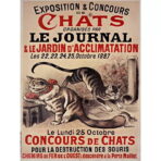 affiche vintage chat