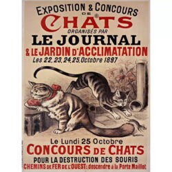 affiche vintage chat