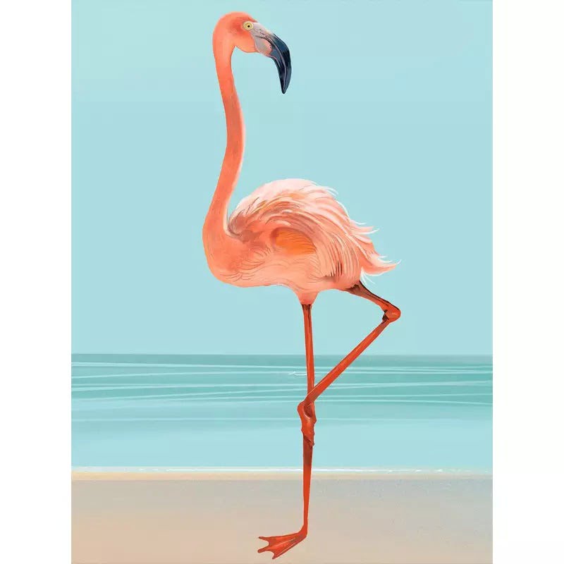 affiche-vintage-flamant-rose_1 affiche vintage flamant rose