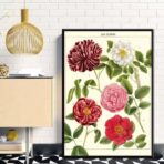 affiche vintage fleur